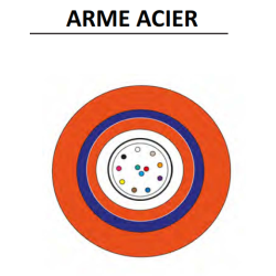 Câble fibre optique monomode OS2 6FO Anti-feu CR1C1 armé
