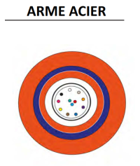 Câble fibre optique monomode OS2 6FO Anti-feu CR1C1 armé