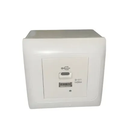 Prise USB / USB C complète en saillie