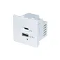 Prise USB / USB C complète en saillie