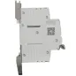 Disjoncteur Phase + Neutre 25A à vis - Courbe D Disjoncteur Phase + Neutre 25A à vis - Courbe D