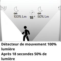 Projecteur détecteur de mouvement LED NASA à panneau solaire en PC